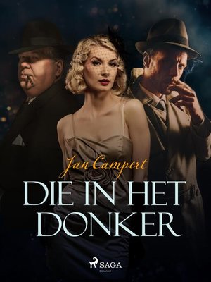 cover image of Die in het donker